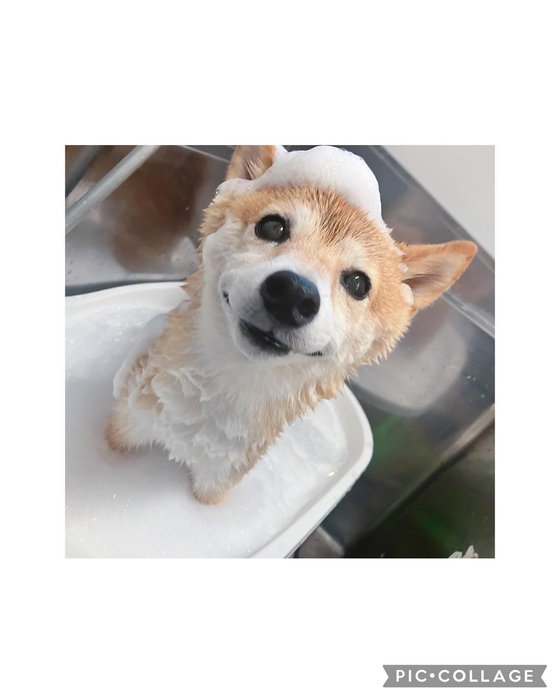 画像2846