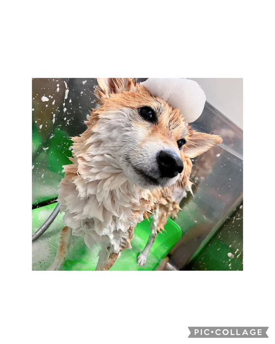画像2849