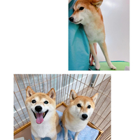 画像2850