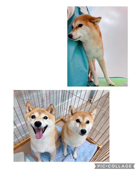 画像2850
