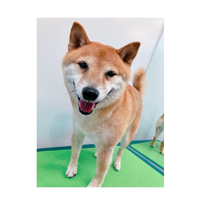 画像2858