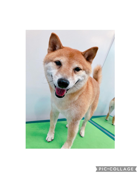 画像2858