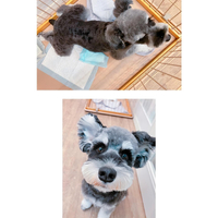 画像2873