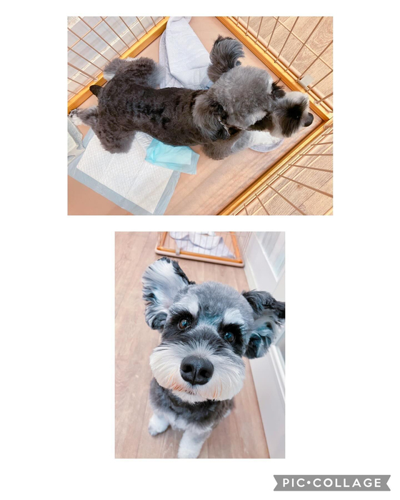 画像2873