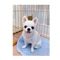 画像2907