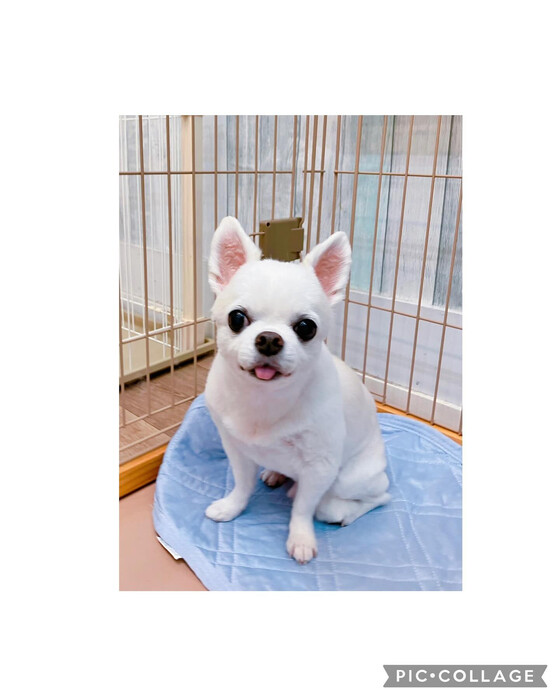 画像2907
