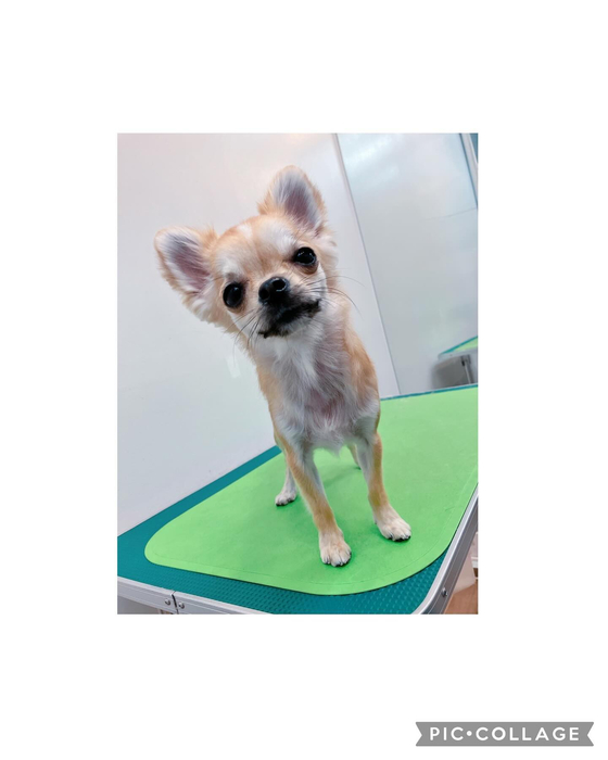 画像2935
