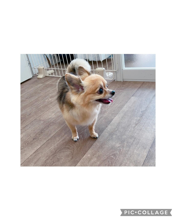 画像2938