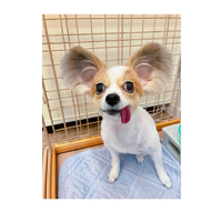 画像2953