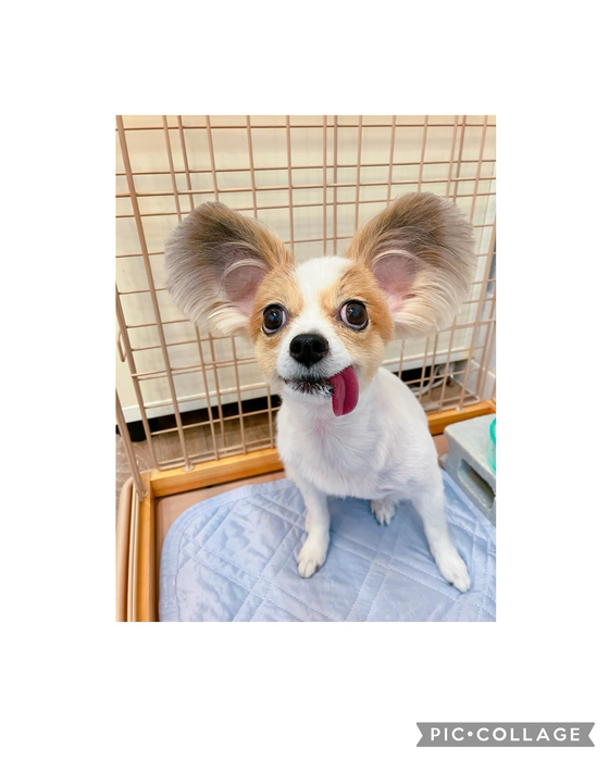 画像2953