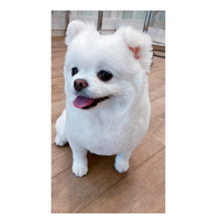 画像2959