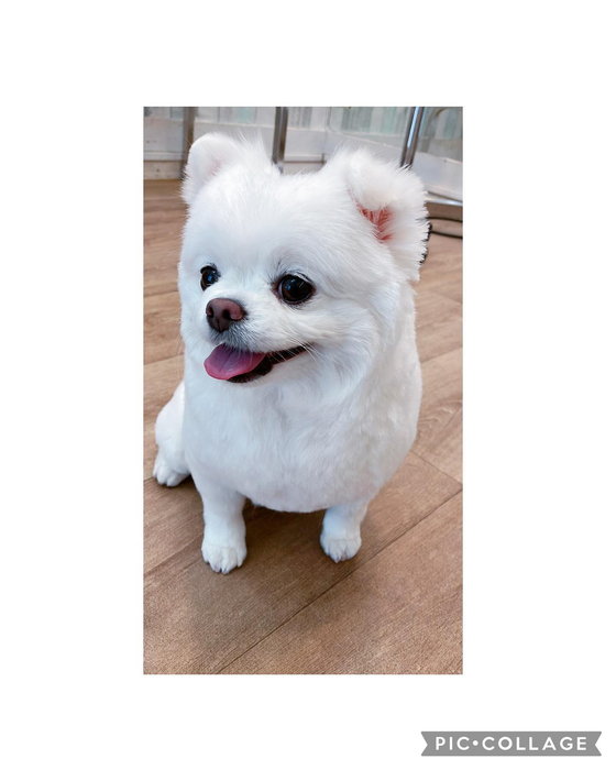 画像2959
