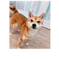 画像2962