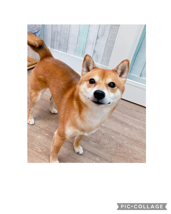 画像2962