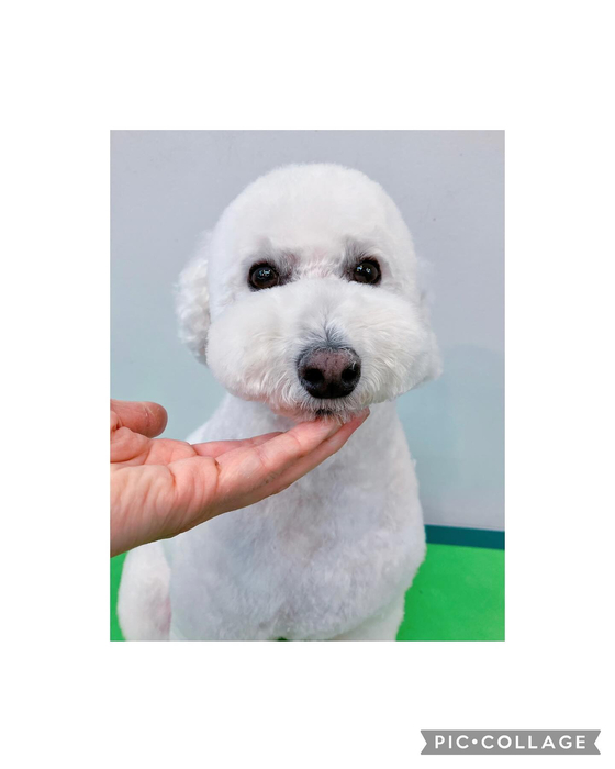 画像2980