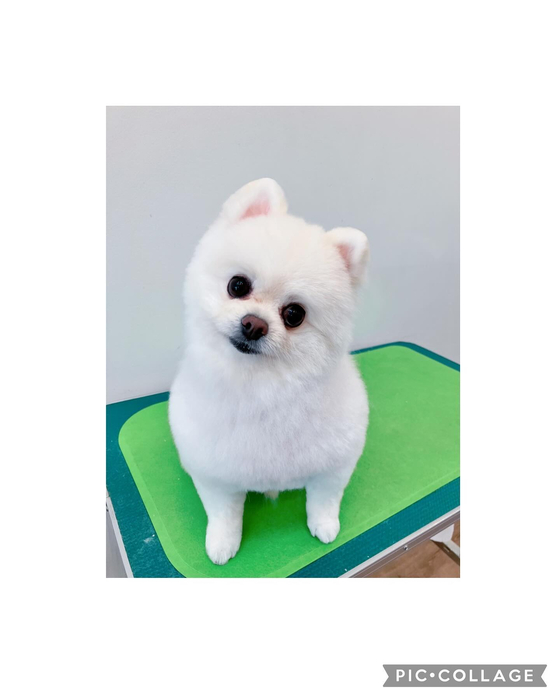 画像2986