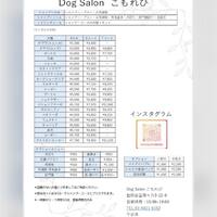 画像299