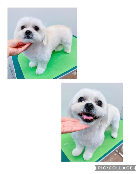 画像3014