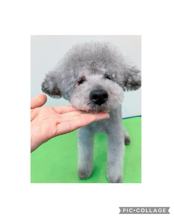 画像3019