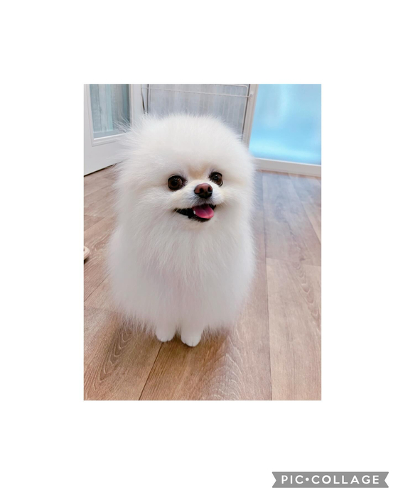画像3027