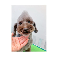 画像3030