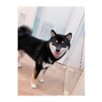 画像3039