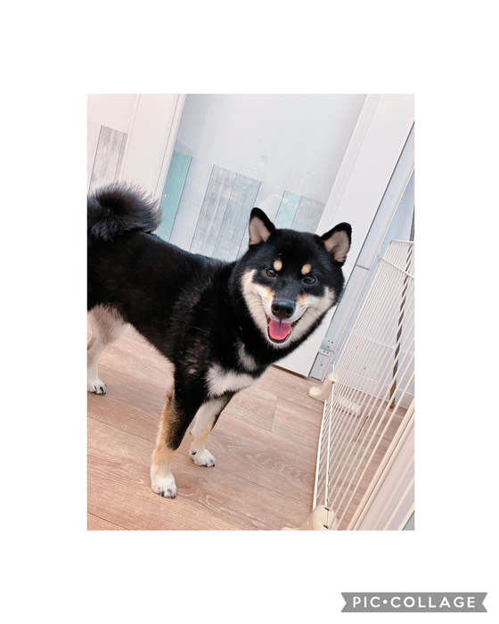 画像3039