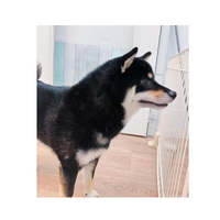 画像3040