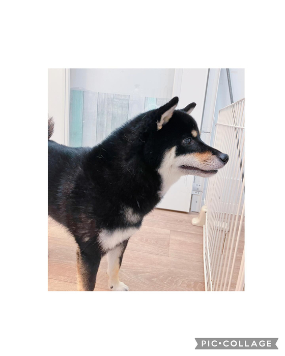 画像3040
