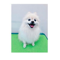 画像3051