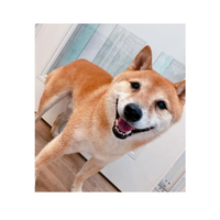 画像3054