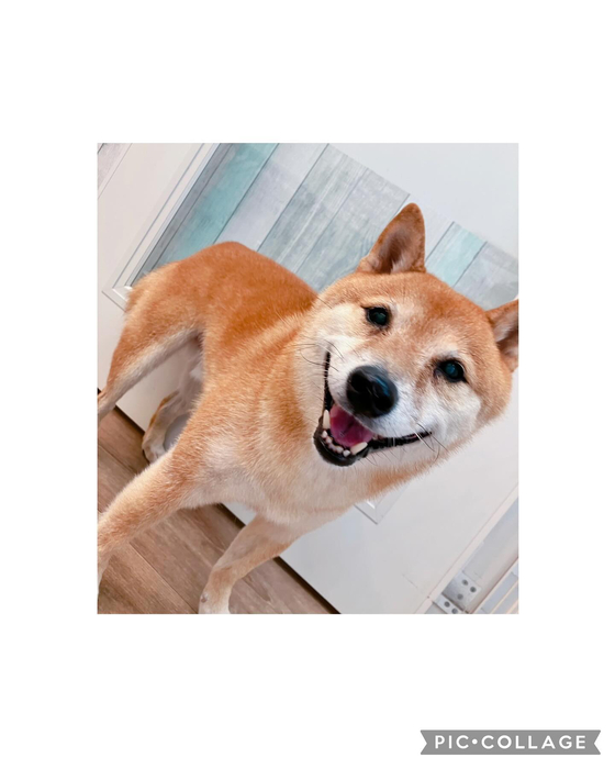 画像3054