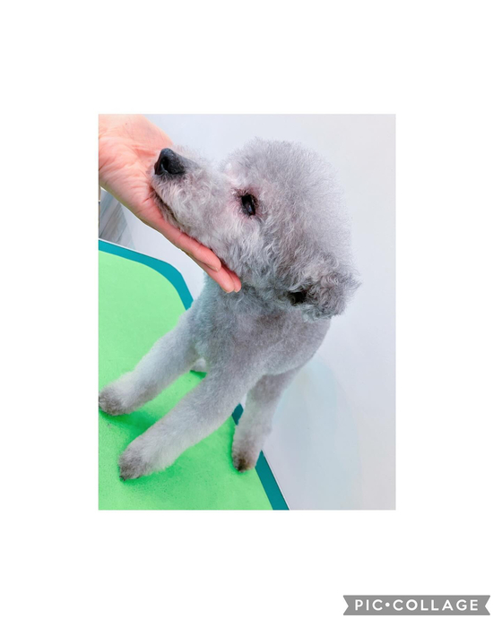 画像3057