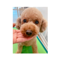 画像3069