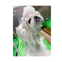 画像3198