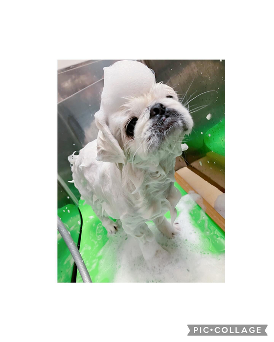 画像3198