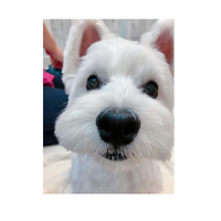 画像3236