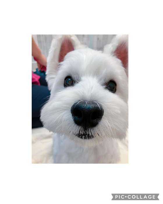 画像3236