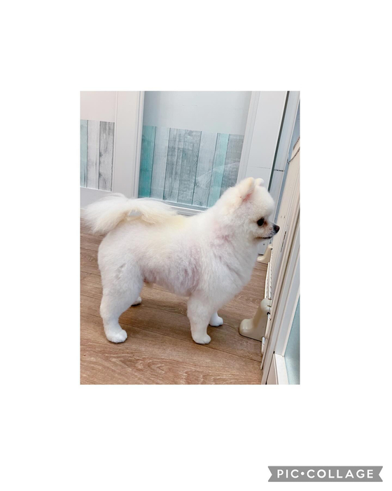 画像3264