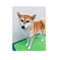 画像3297