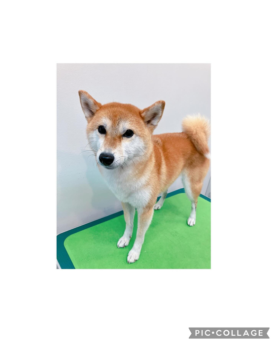 画像3297