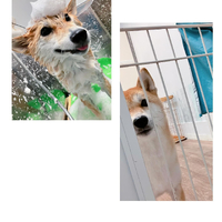 画像3298