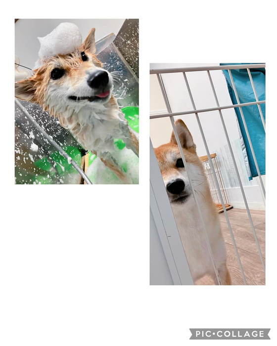 画像3298