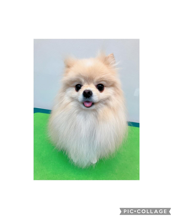 画像3332