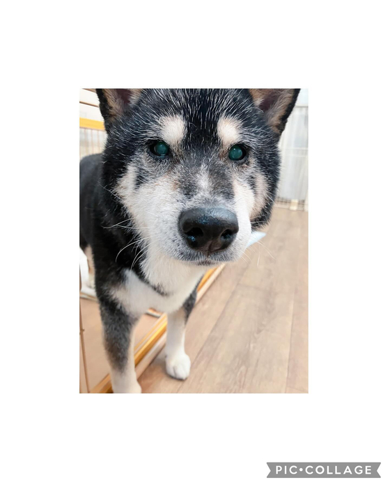 画像3335