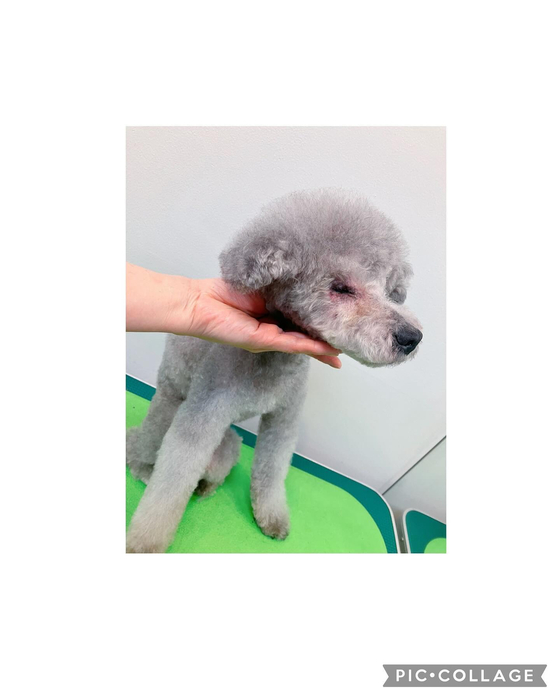 画像3369