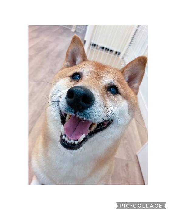 画像369