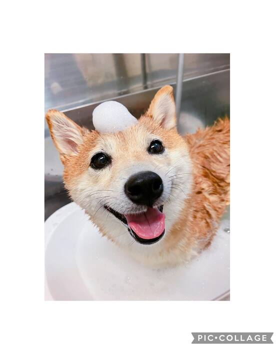 画像432