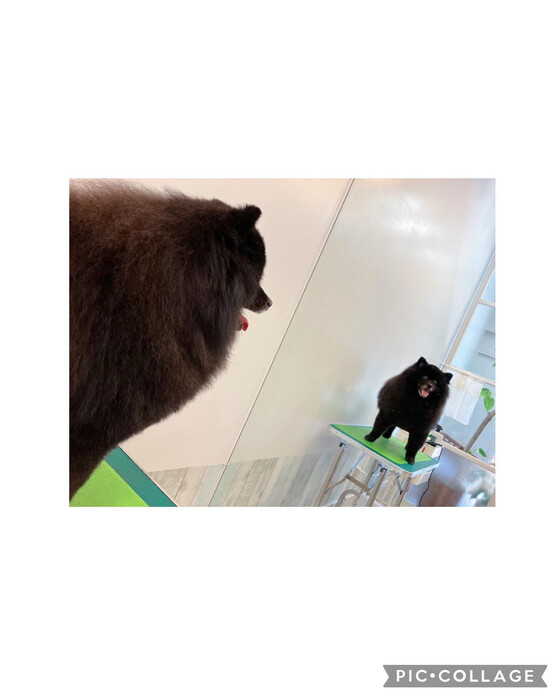 画像450