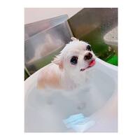 画像655